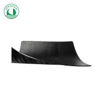 Excellent quality waterproof hdpe sheet geomembrane price